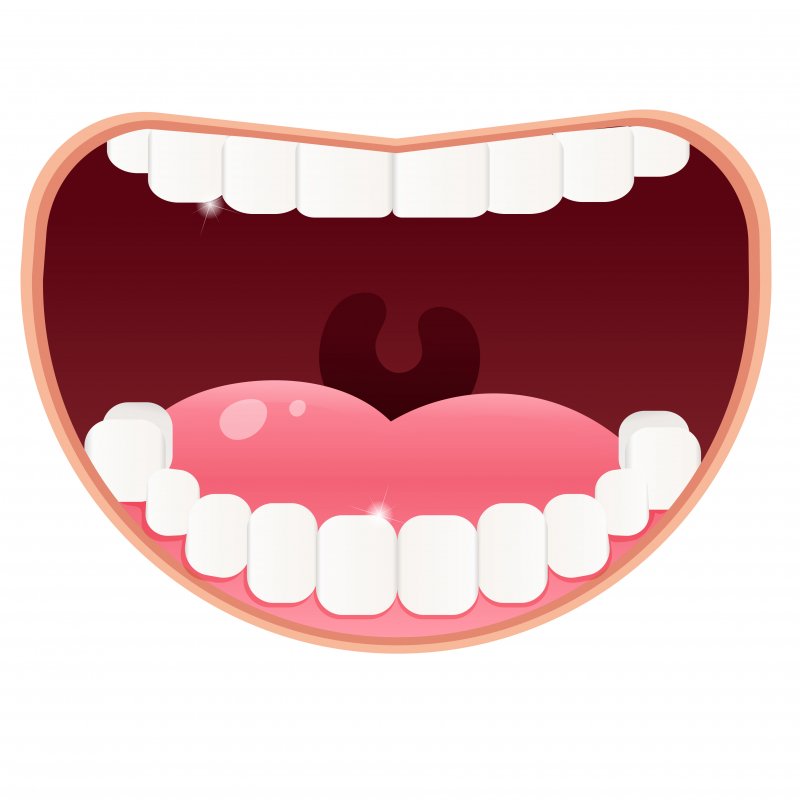 Understanding Parts Of Mouth Promotes Oral Care Dr Thomas Gromling